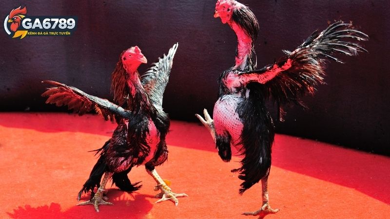 Đăng Nhập Ga6789 - Cách Truy Cập Tài Khoản Nhanh Chóng 1 Đăng nhập Ga6789